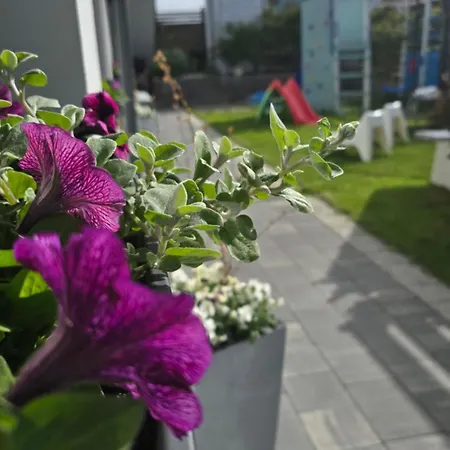 Daire Perla Baltyku Władysławowo