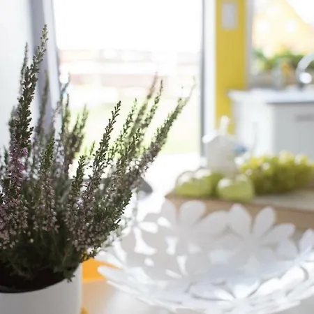 Daire Perla Baltyku *