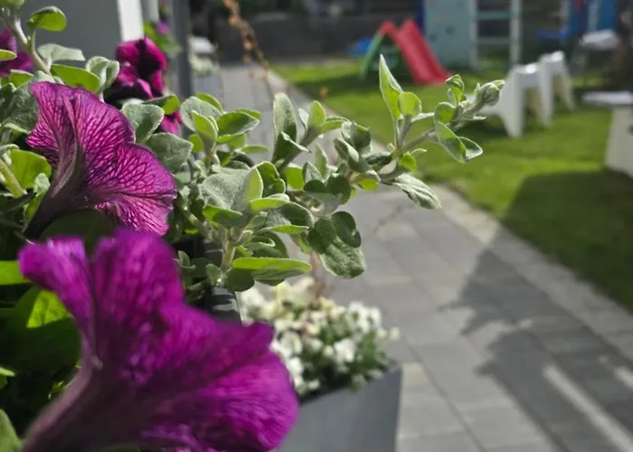 Daire Perla Baltyku Władysławowo