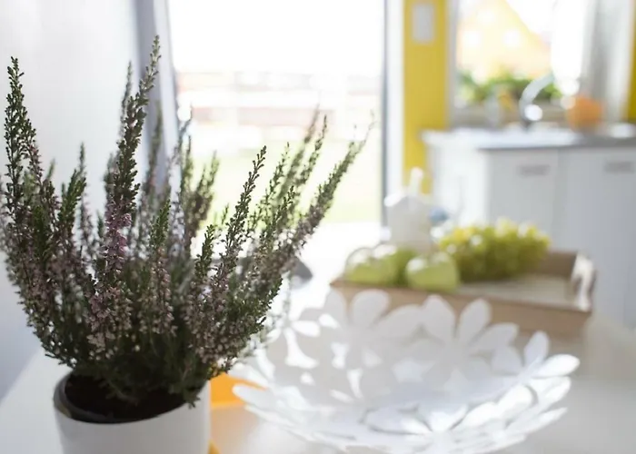 Daire Perla Baltyku *